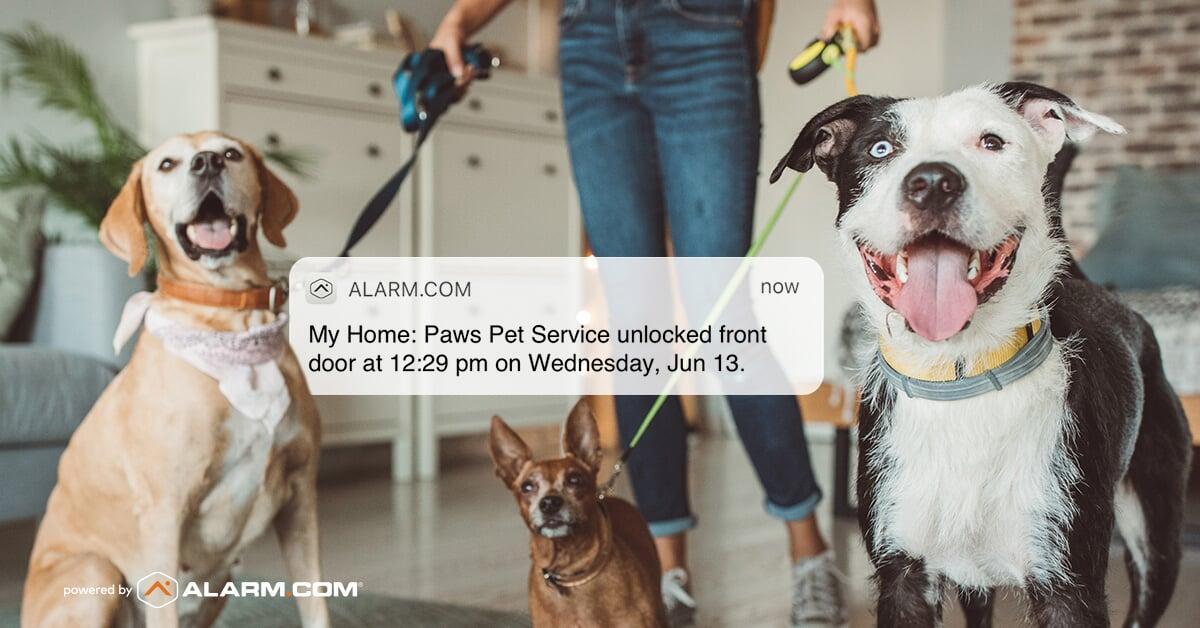 Home Security for Pet Owners
