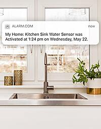water sensor notification as part of home management system